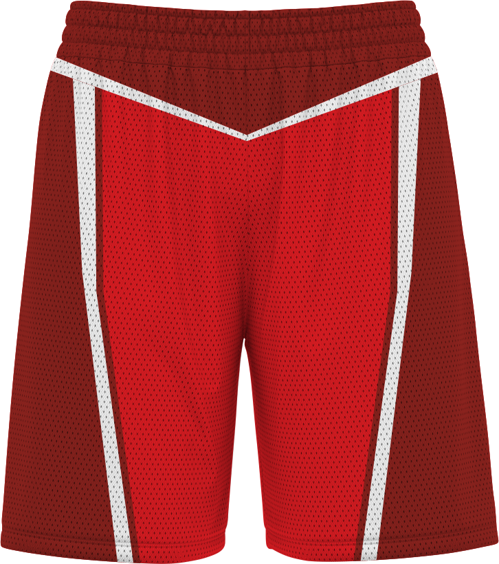 BASKETBALL SHORTS | BB-109