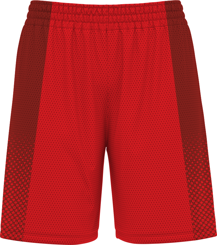 BASKETBALL SHORTS | BB-101