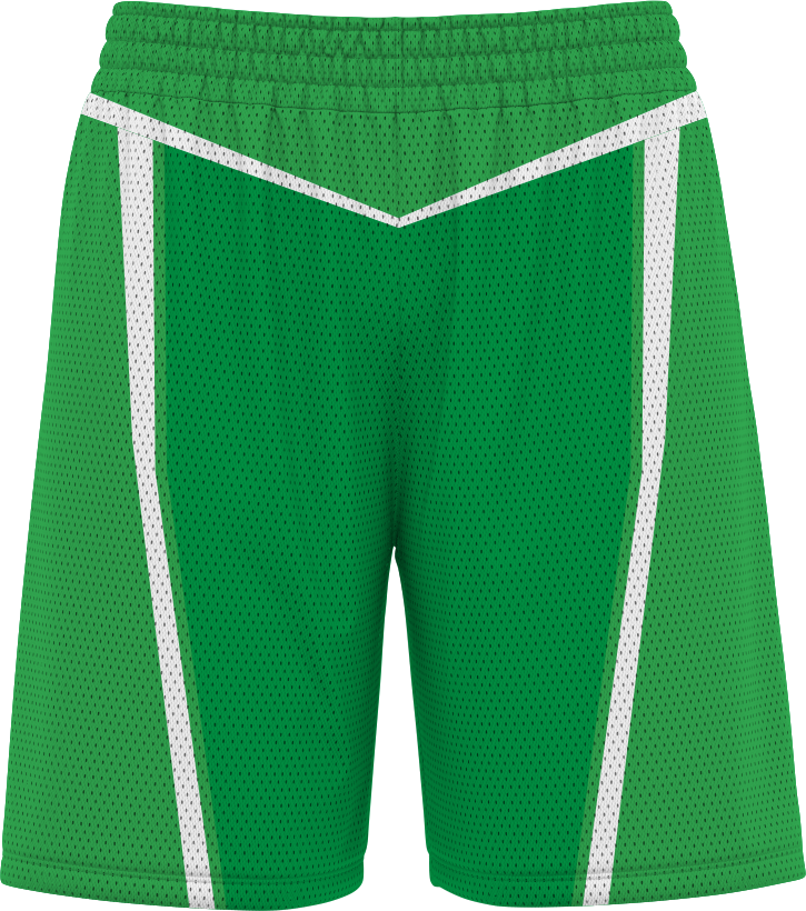 BASKETBALL SHORTS | BB-109