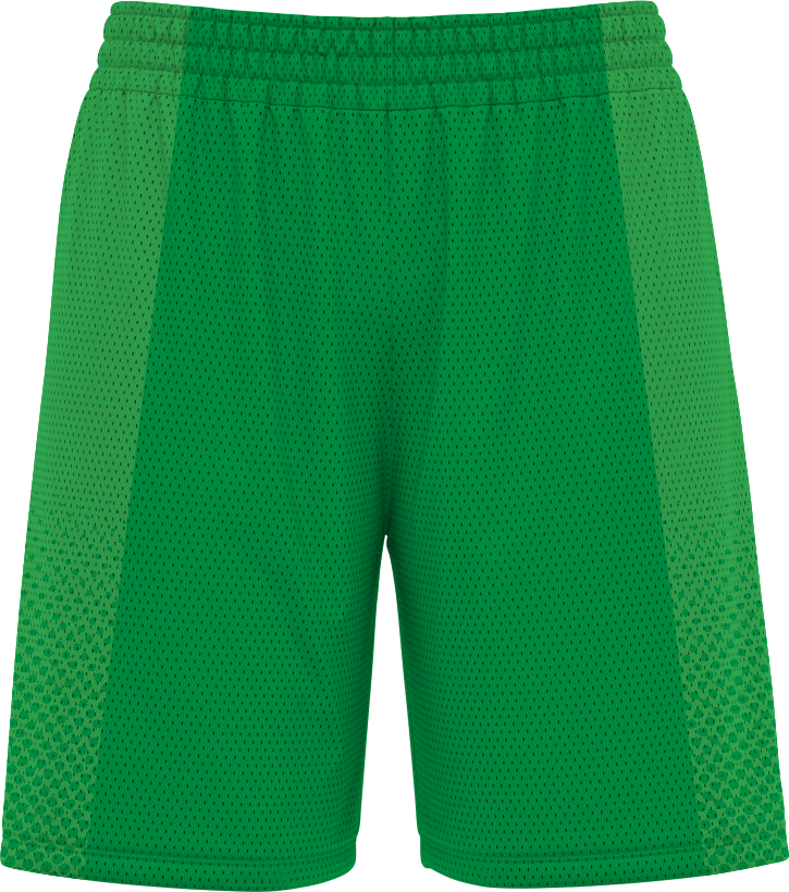 BASKETBALL SHORTS | BB-101