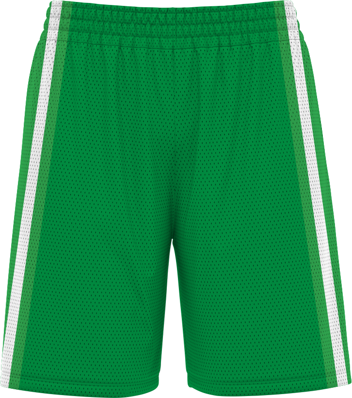 BASKETBALL SHORTS | BB-107
