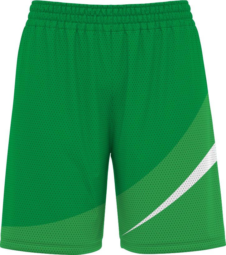BASKETBALL SHORTS | BB-106
