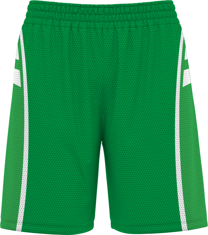 BASKETBALL SHORTS | BB-105