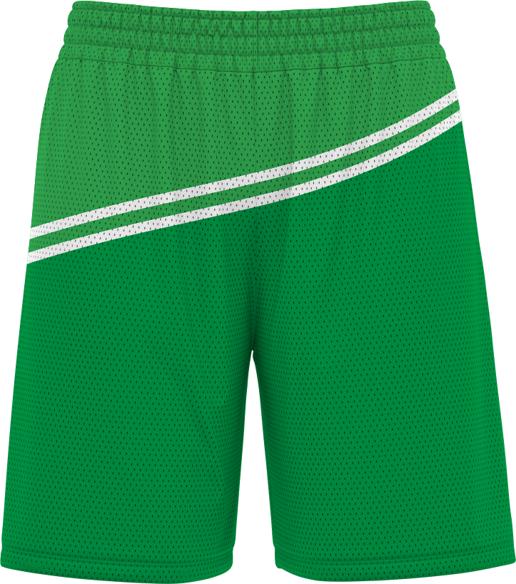 BASKETBALL SHORTS | BB-104