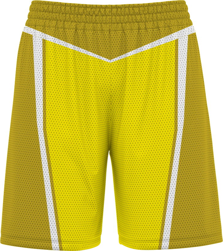 BASKETBALL SHORTS | BB-109