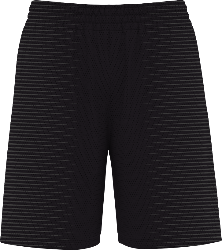BASKETBALL SHORTS | BB-102