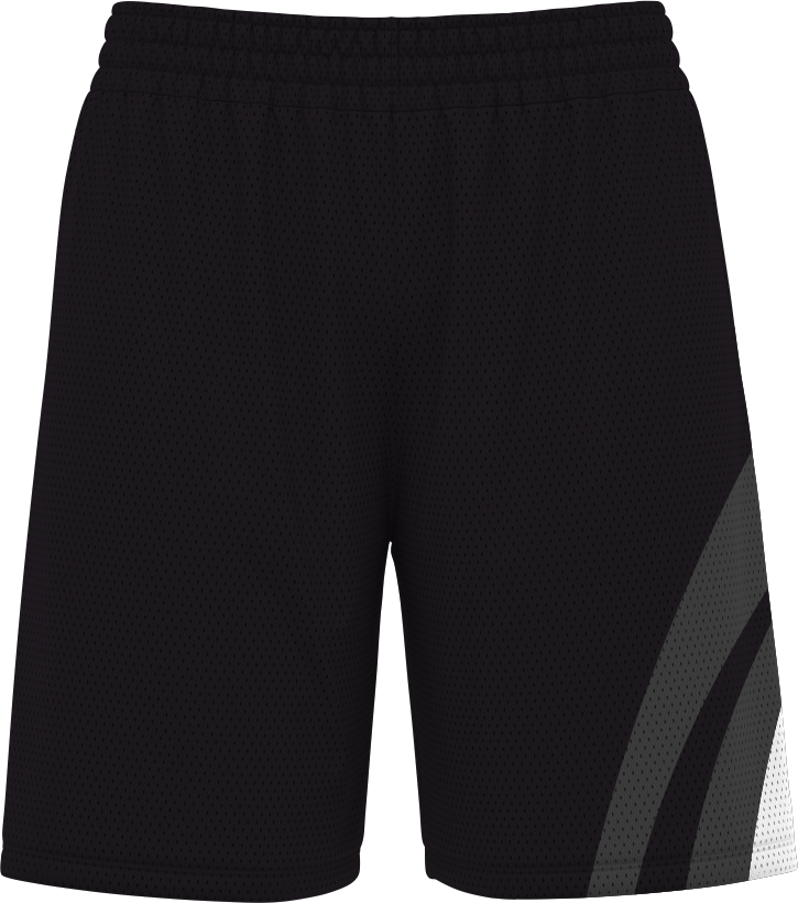 BASKETBALL SHORTS | BB-108