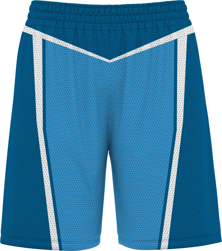 BASKETBALL SHORTS | BB-109
