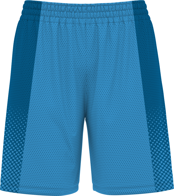 BASKETBALL SHORTS | BB-101